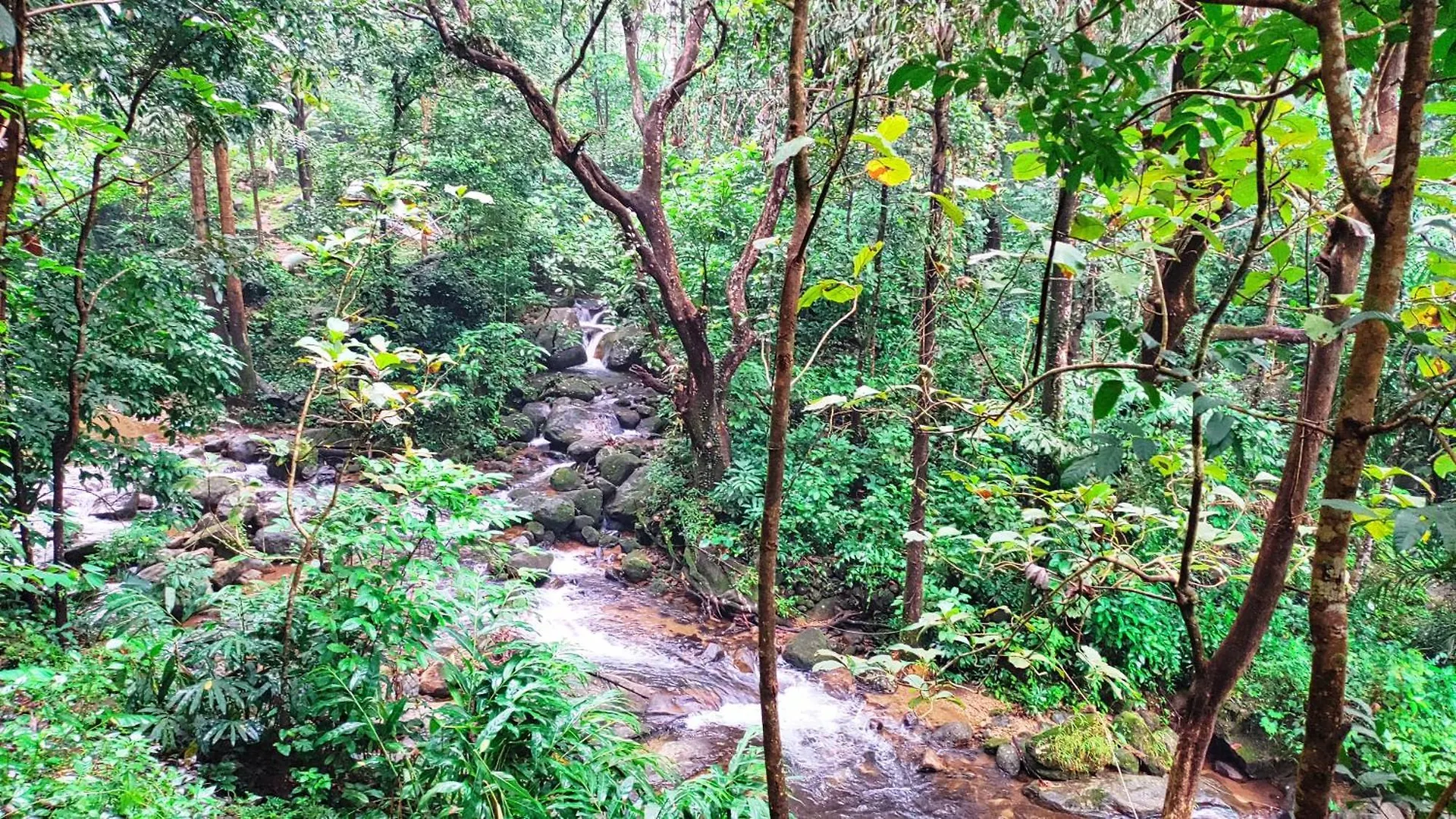 Green And Green Vagamon Casa vacanze