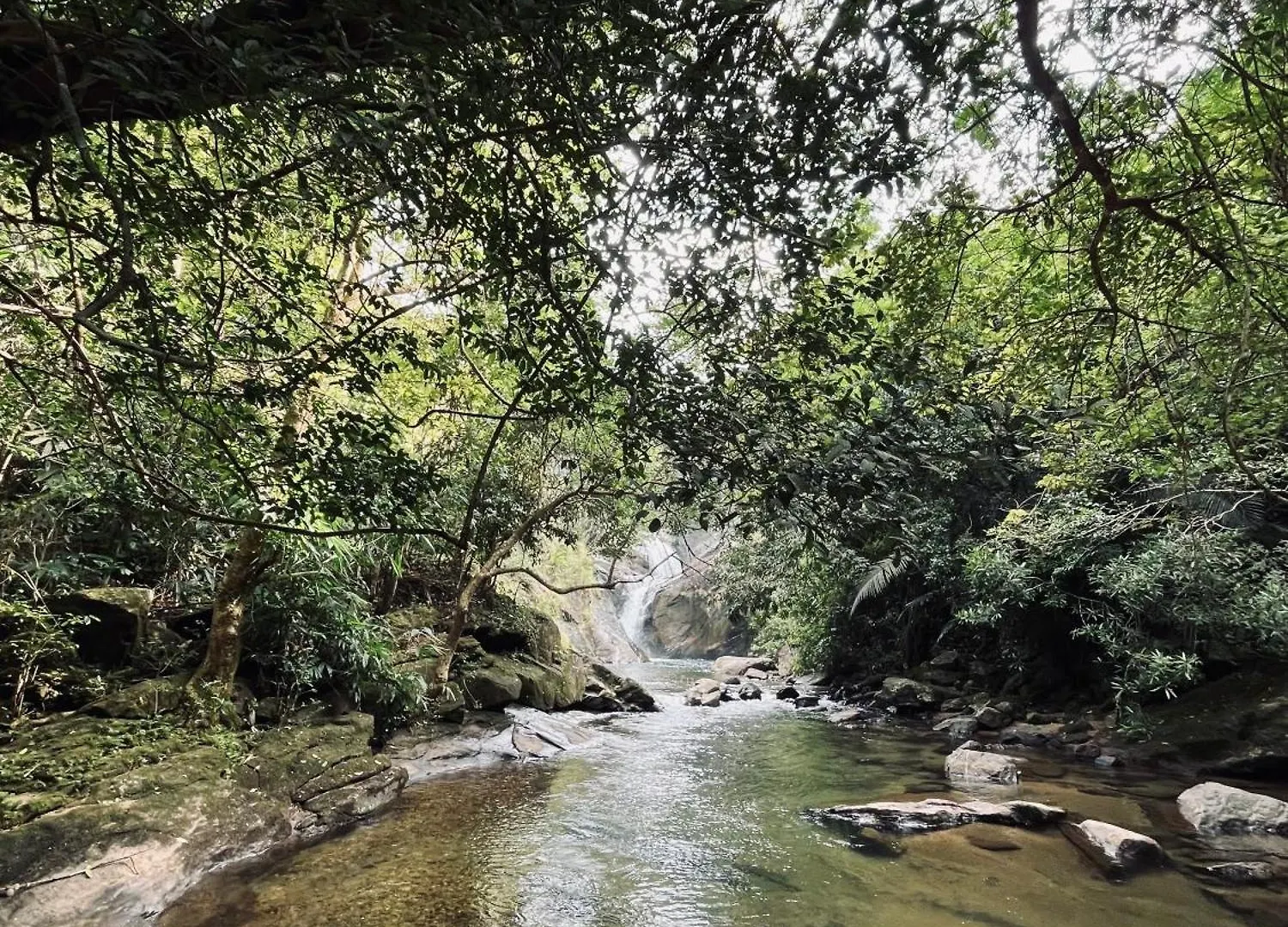 Casa vacanze Green And Green Vagamon