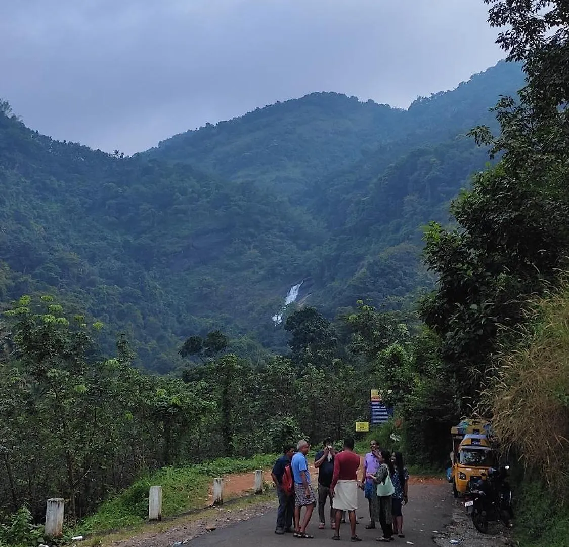 Green And Green Vagamon 0*,